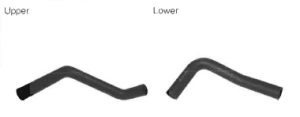 Radiator Hoses