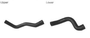 Radiator Hoses