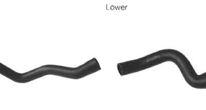 Radiator Hoses