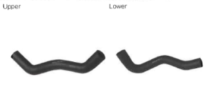 Radiator Hoses