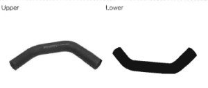 Radiator Hoses