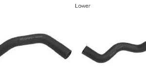 Radiator Hoses