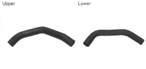 Radiator Hoses