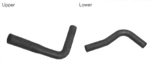 Radiator Hoses