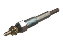 Glow Plugs
