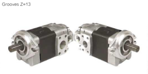 Hydraulic Pumps