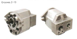Hydraulic Pumps