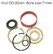 Tilt Cylinder Seal Kits