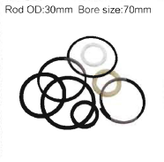 Tilt Cylinder Seal Kits